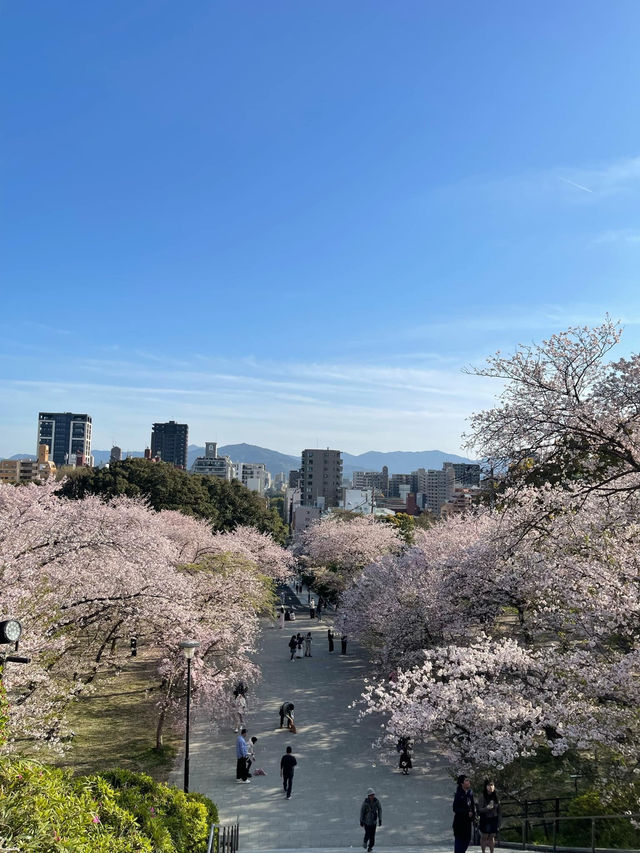 Spring in Fukuoka