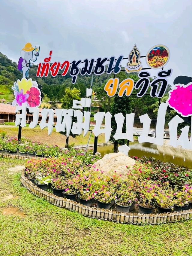 🌺 สวนหมื่นบุบผา (Thousand Flowers Garden)