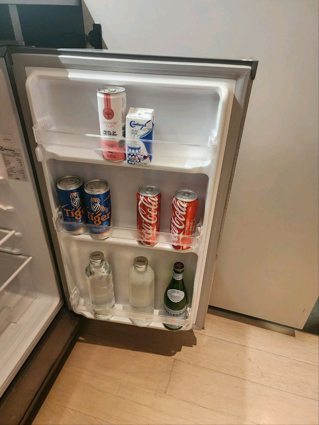 新加坡烏節路酒店推介