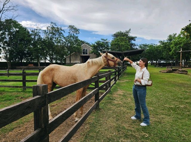 Trot Cafe Khaoyai 🏇🏻