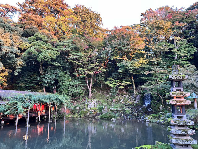 🍁漫步金澤兼六園：與光影共舞的日式秘境🌲💫