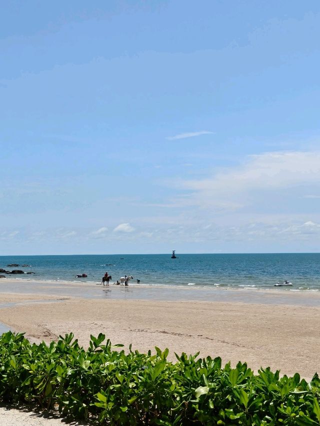 The standard Huahin 