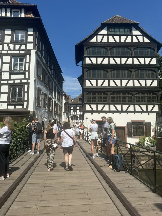 🏡アルザスの宝石・ストラスブール✨運河と木組みの街で過ごすヨーロッパ時間🇫🇷🇩🇪
