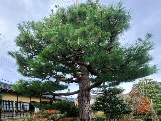 ANA 크라운 플라자 가나자와(ANA Crowne Plaza Kanazawa) 스탠다드 더블룸