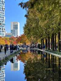 🇰🇷 Seoul Forest – A Must-Visit Gem in Seoul! 🌳✨