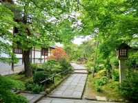 Kyoto’s Quiet Corner: Jojakko-ji Reflections