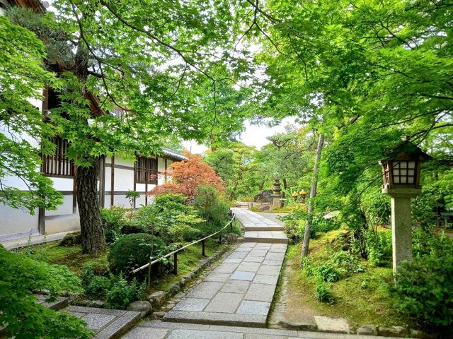 Kyoto’s Quiet Corner: Jojakko-ji Reflections