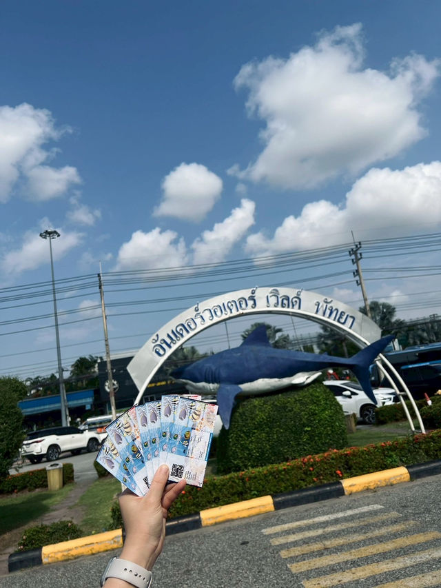 Underwater  world pattaya