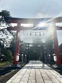 岩沼市に鎮座する 竹駒神社へ行くべき理由を5つご紹介します✨