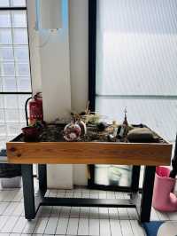 Woo! Cafe – A Cozy Spot for Catching Up With Friends