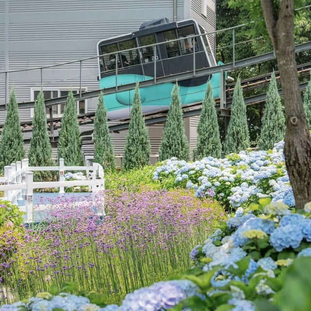 Jangsaengpo Whale Culture Village: Ulsan’s Whaling History & Coastal Charm