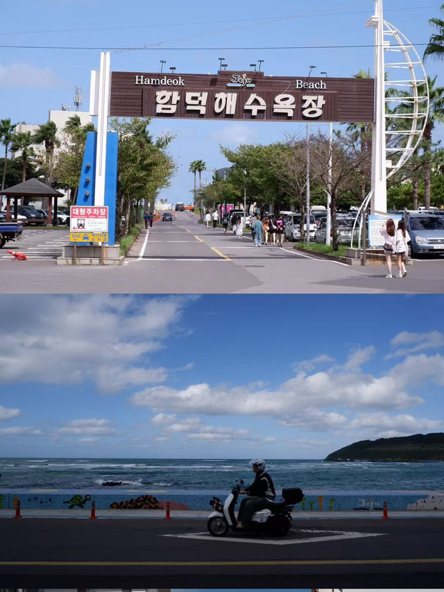 🌊 Jeju Island Bliss — Seaside Walks & Soulful Bites 🍲⛅