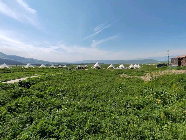 Nalati Scenic Area：Lush Green Grasslands