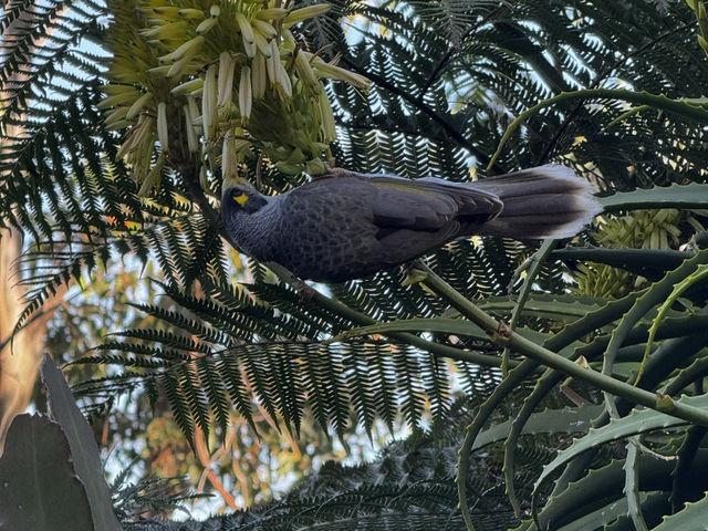 塔龍加動物園遊玩攻略