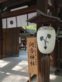 【下鴨神社】森と水に包まれる聖地🌿みたらし団子の発祥地で心清める旅