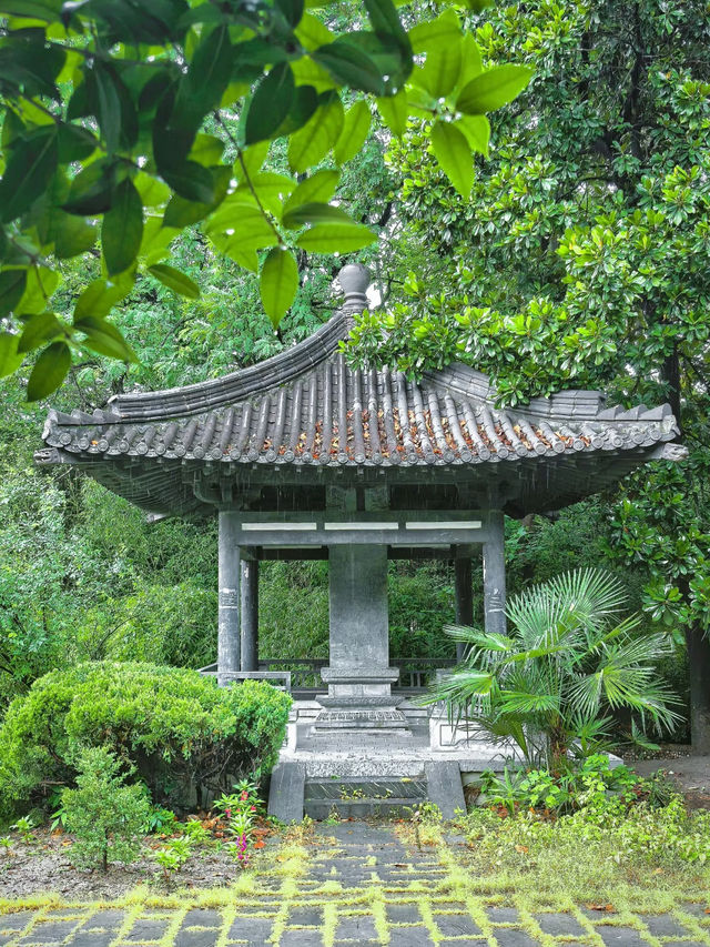 Forgotten Thousand-Year Heritage in Hefei | Lu Prefecture Academy Hidden in Plain Sight 🏛️✨ 