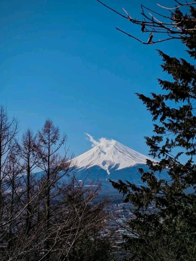 Scenic View