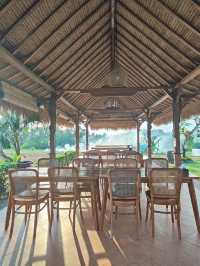 🌾 Bebek Sari Uma Tanah Lot: A Balinese Culinary Pause Amid the Paddy Fields