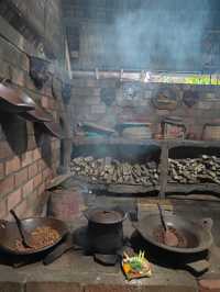 ☕ From Civet to Cup: The Luwak Coffee Journey Unfolds