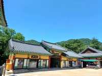 자연과 고찰이 어우러진 풍경 명소, 합천 해인사