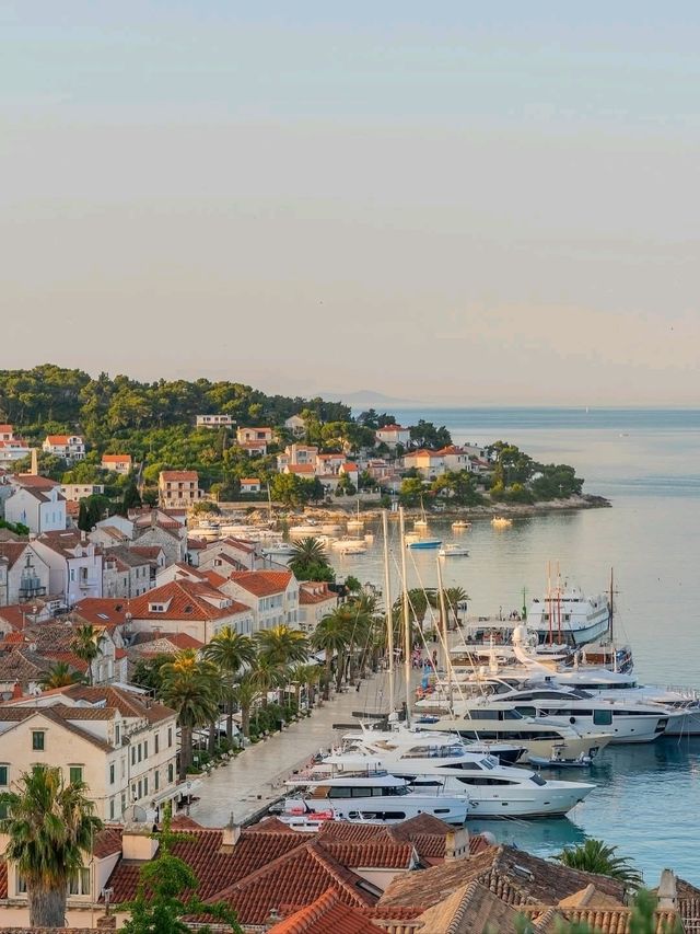 🌴 Hvar Highlights: Croatia’s Sun-Soaked Island Star