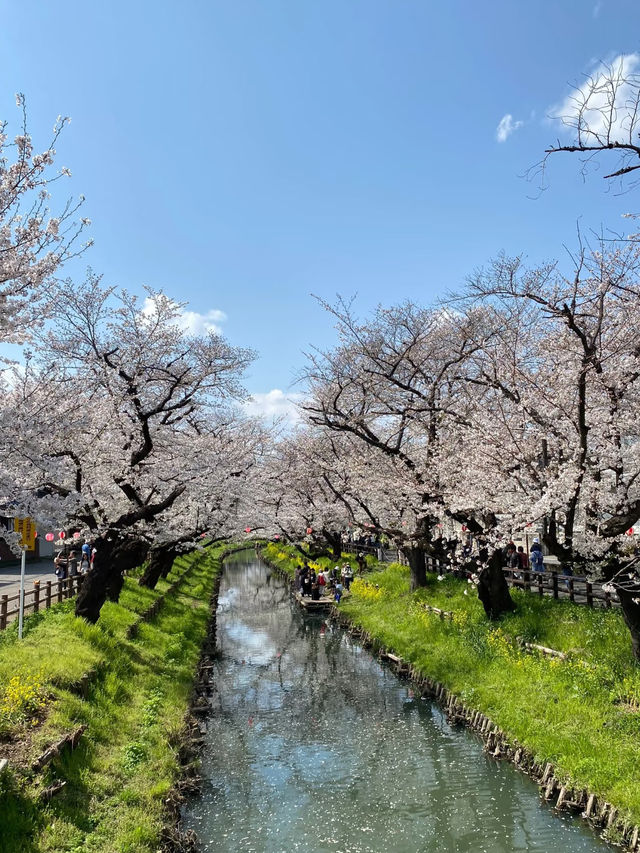 🎐 Step Back in Time: Kawagoe Day Trip Under RM100!