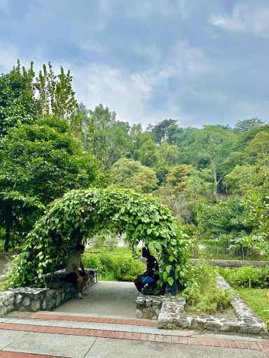 🌿 Herb & Spice Garden – A Fragrant Stroll Through Nature's