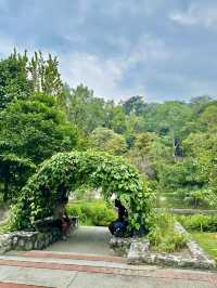 🌿 Herb & Spice Garden – A Fragrant Stroll Through Nature’s Pharmacy