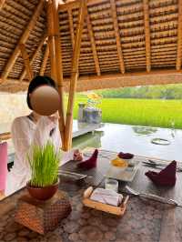 【タクシーで1日満喫！ウブドののんびり贅沢旅🌿🚗】