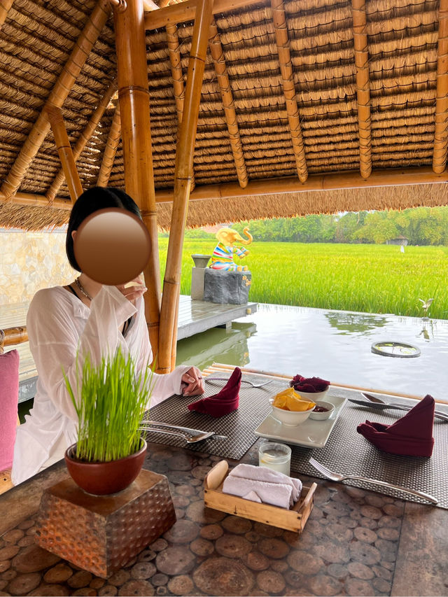 【タクシーで1日満喫！ウブドののんびり贅沢旅🌿🚗】