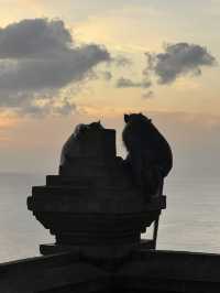 The Wild Monkeys of Bali: Playful, Sacred & Free