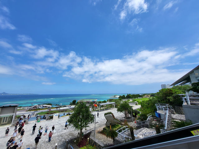 黑潮水槽震撼人心的海洋體驗/沖繩美麗海水族館