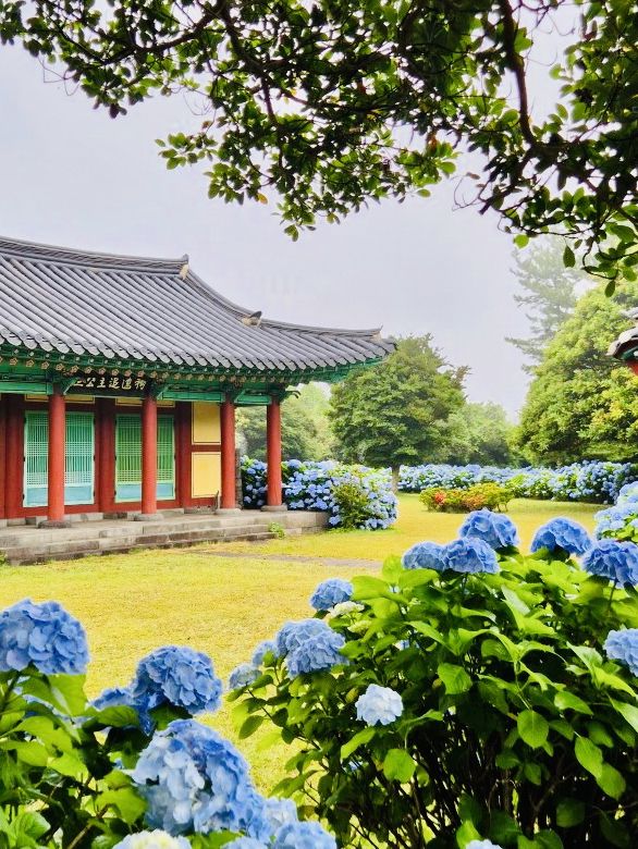 A Unique Wedding Photo Zone Amidst Blooms and Legend