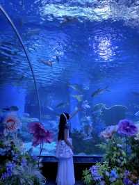 🌊 Quanzhou Oulebao Ocean Kingdom 🐋