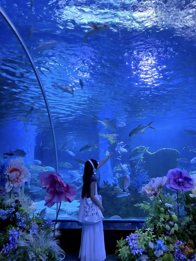 🌊 Quanzhou Oulebao Ocean Kingdom 🐋