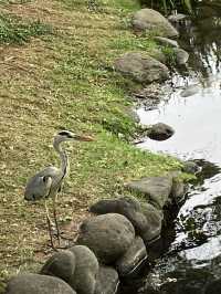 【北海道・札幌市】⛲️中島公園〜自然と文化の融合〜