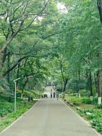 天然氧吧—武陵山國家森林公園—一秒穿越原始叢林的秘境