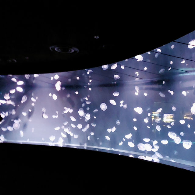 東京陽光水族館:空中水族奇妙之旅 🐧 東京陽光水族館:空中水族奇妙之旅 🐧