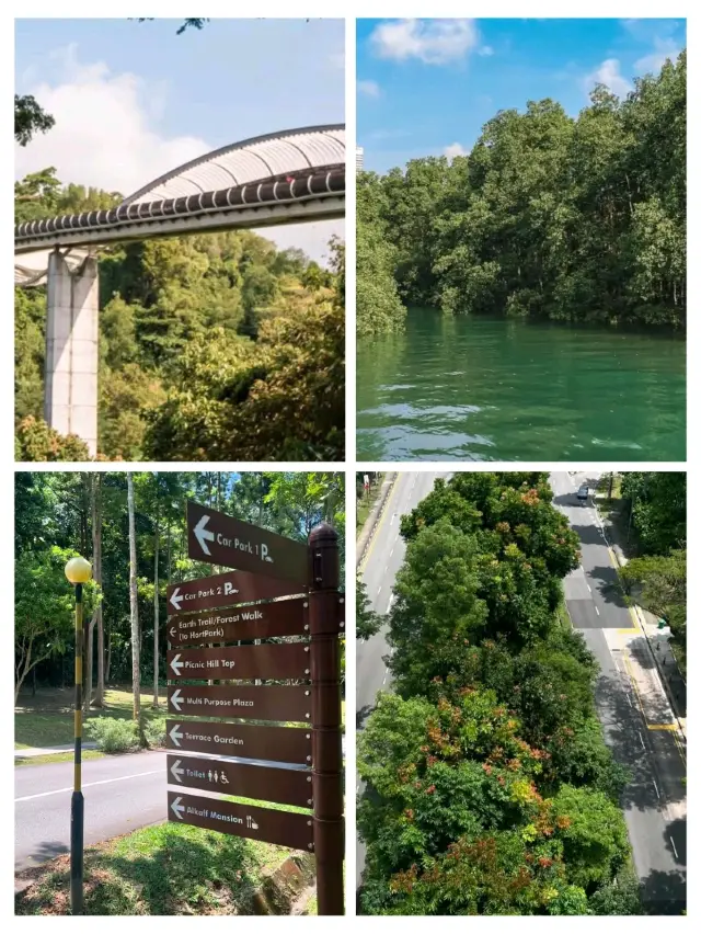 🌿🌉 Southern Ridges: Singapore’s Scenic Green Escape! 🌳✨