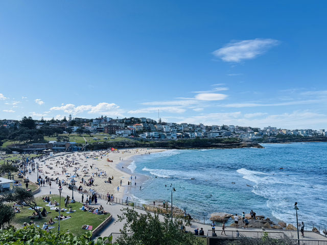 My Sydney 3 Days | Perfect mix of city & beach 🐨🌊