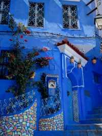Everything in Blue 