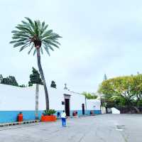 Historic Heritage and Vibrant Streets in Telde