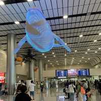 Gateway to Paradise: Jeju International Airport