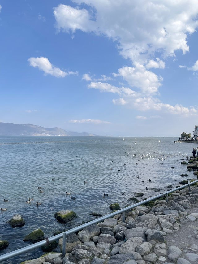 🇨🇳Dali ต้าหลี่ – เมืองโบราณริมทะเลสาบ Erhai Lake