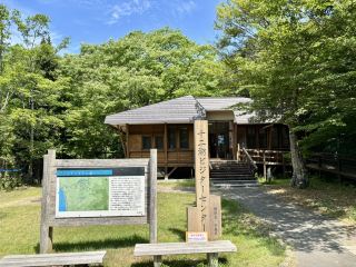 十二湖遊客中心幻之魚「伊富」近距離觀賞！自然與學習交會的祕境🌿🐟