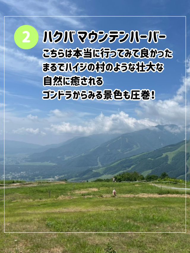 【長野の自然に癒され旅🌿】長野で絶対行きたい場所