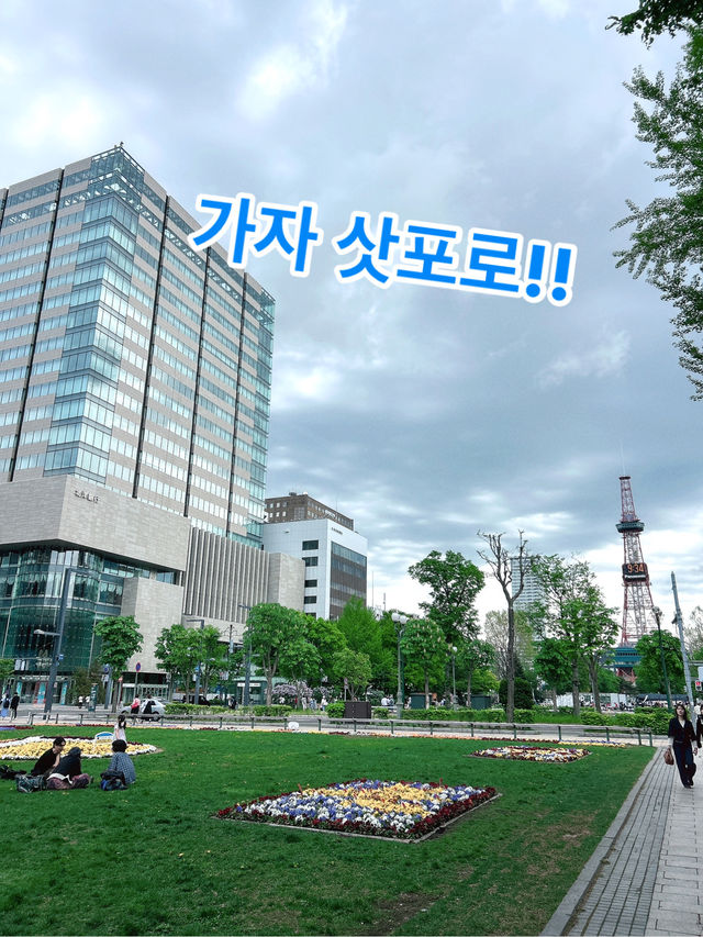 눈이 오지 않아도 충분한 그곳