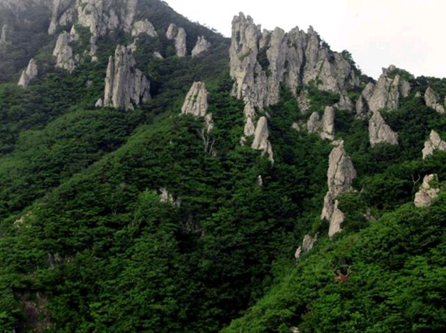 🌄 성널오름 – 제주 고요한 트레킹 코스 🌄 성널오름 – 제주 고요한 트레킹 코스