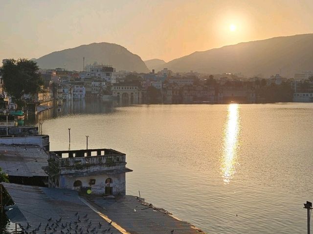 Pushkar Vibes 🩵 Pushkar Vibes 🩵
