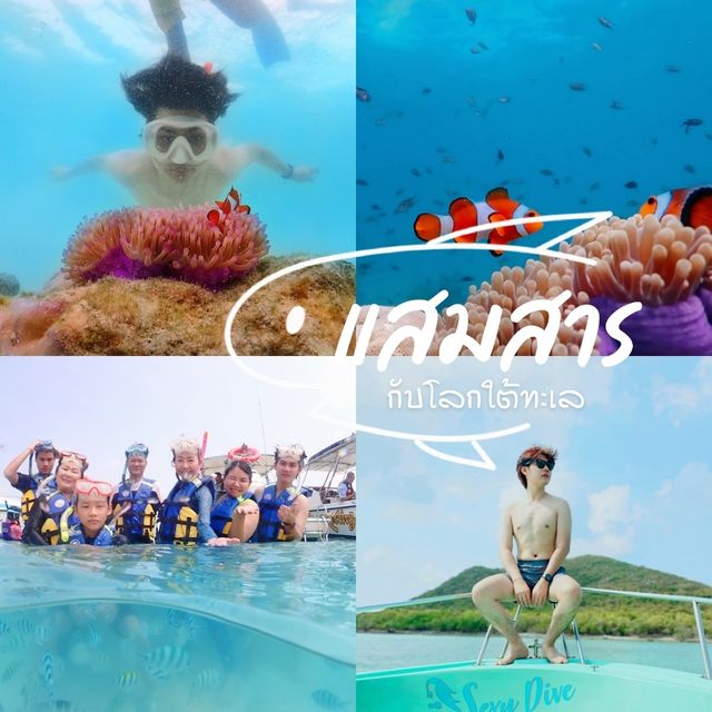 🌊 เกาะแสมสาร "ชมความงามใต้ท้องทะเล"